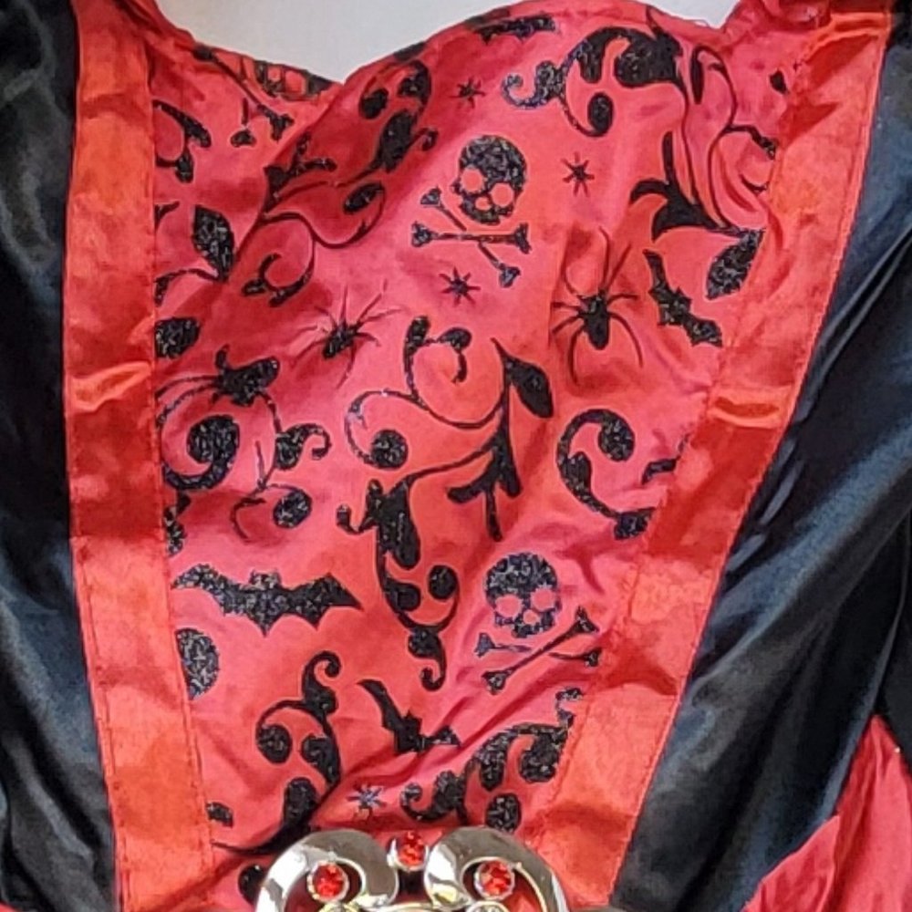 NWT Child's Vampire Dress Size 4-6 - Picture 3 of 6